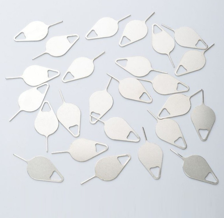 [HCM]✩ QUE CHỌC SIM INOX - CÂY CHỌC SIM ✩