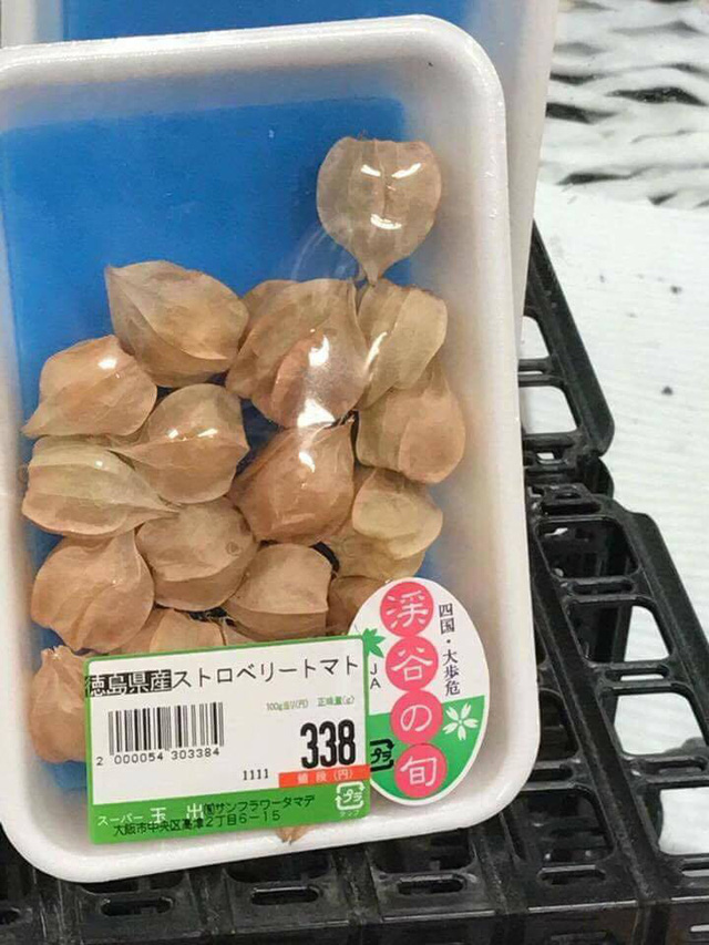 Cây Tầm Bóp khô 1KG GT093
