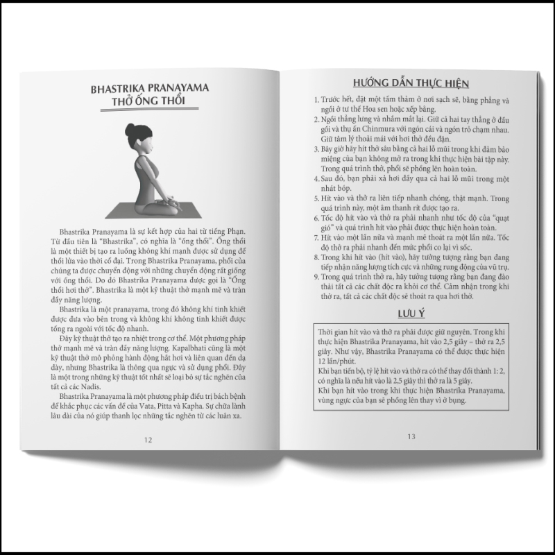 Sách - Yoga cho người mới bắt đầu