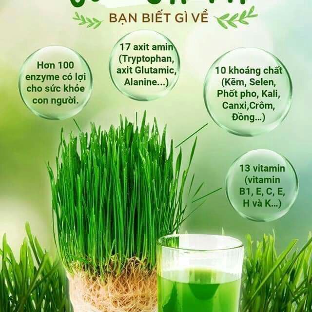 Bột cỏ lúa mạch hữu cơ 150gr - Dragon Superfoods