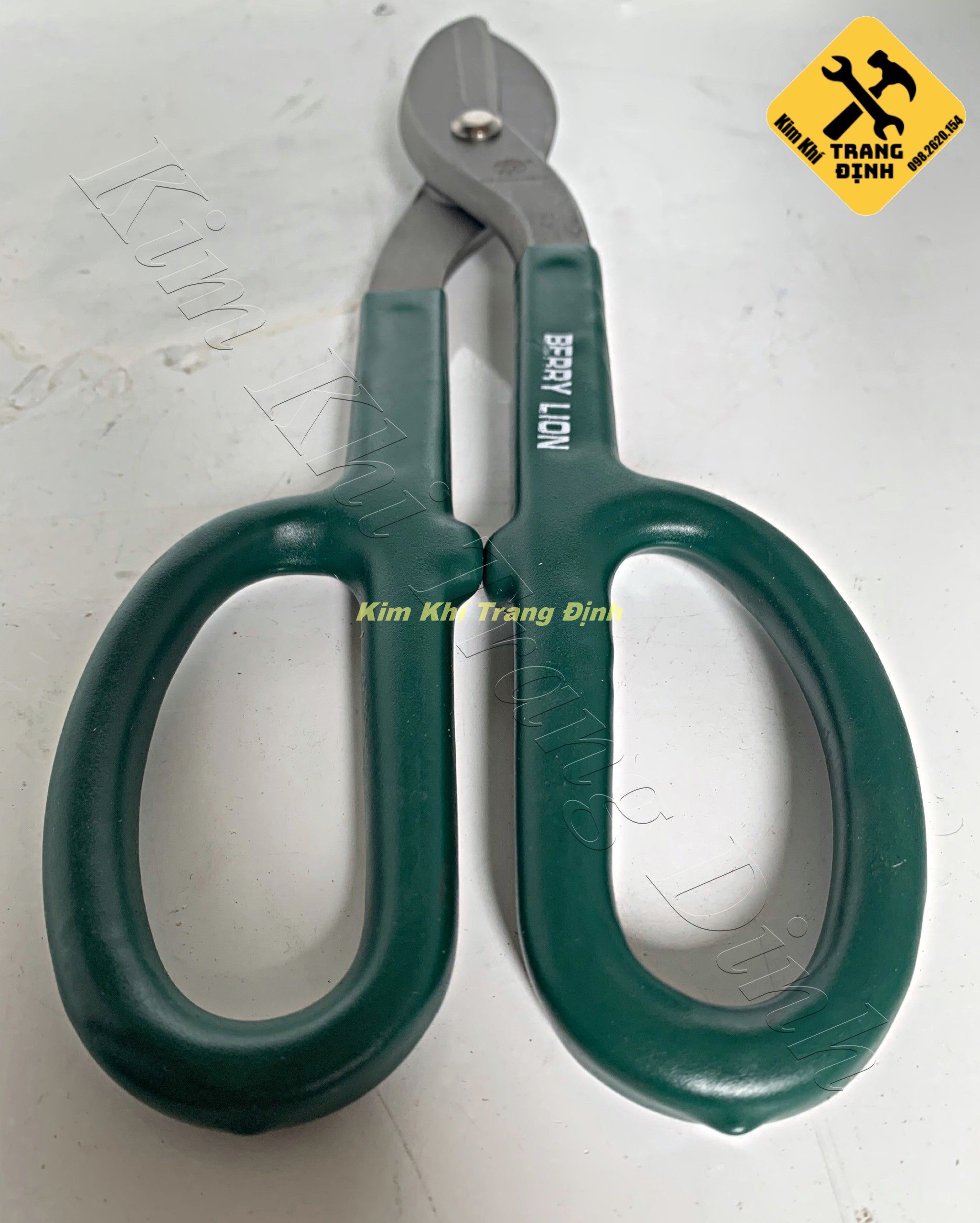 Kéo Cắt Tôn Berrylion 10/250mm (Kéo Cắt Thạch Cao Cắt Lưới)