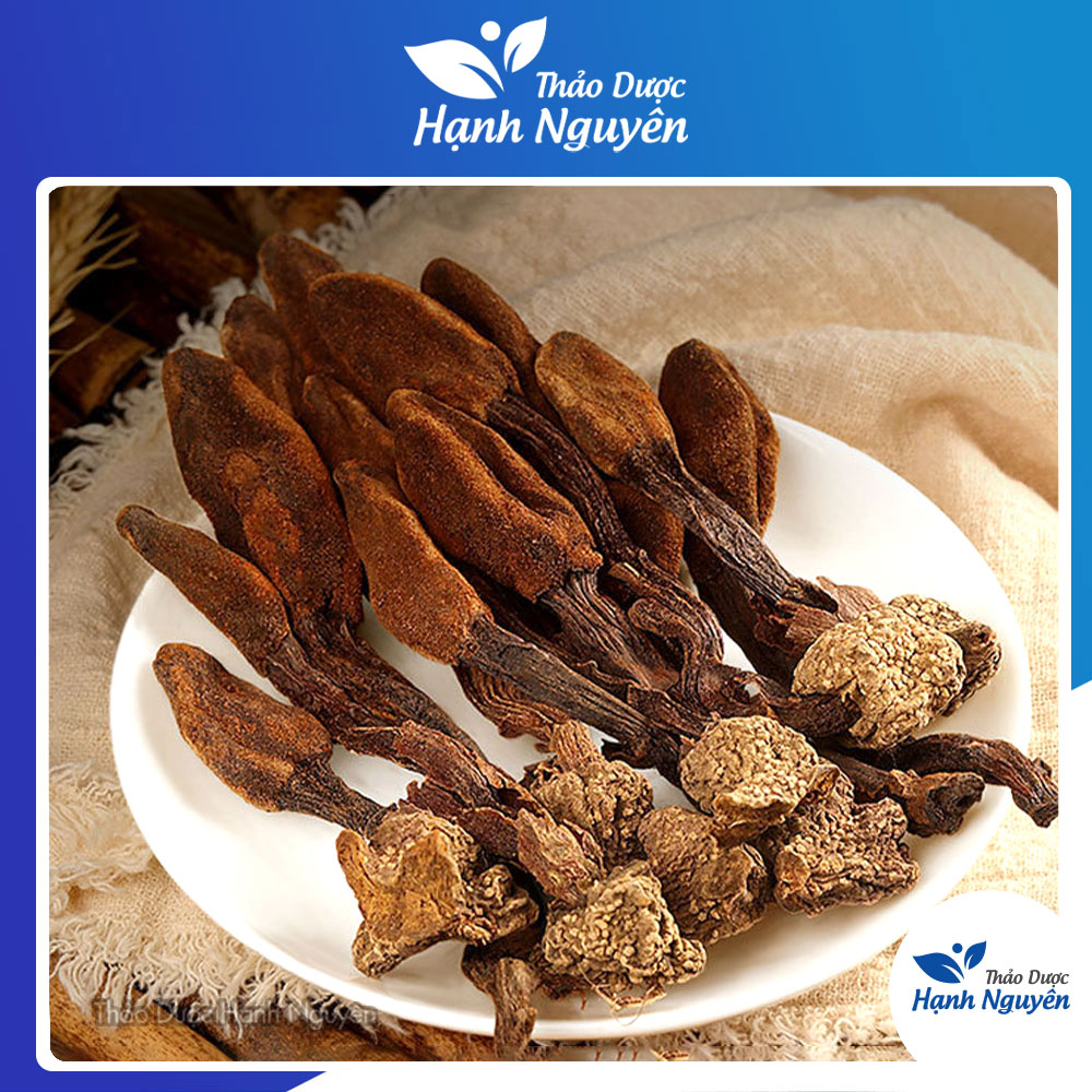 Nấm ngọc cẩu 500g, khô, nguyên búp, hỗ trợ bổ thận tráng dương, tăng cường sinh lý nam, mạnh gân cốt