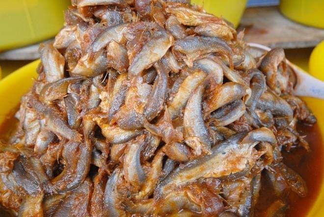MẮM CÁ LINH 500G