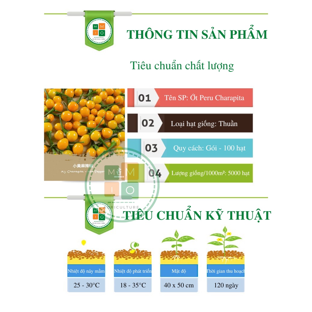 Hạt giống ớt Peru Charapita đắt nhất thế giới