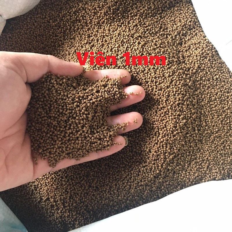 Thức Ăn Cá Cargill 7404 cho Cá giống Cá Cảnh và Làm mồi Câu(1KG)-Dạng bột-0,5mm-1mm-cám cá giống