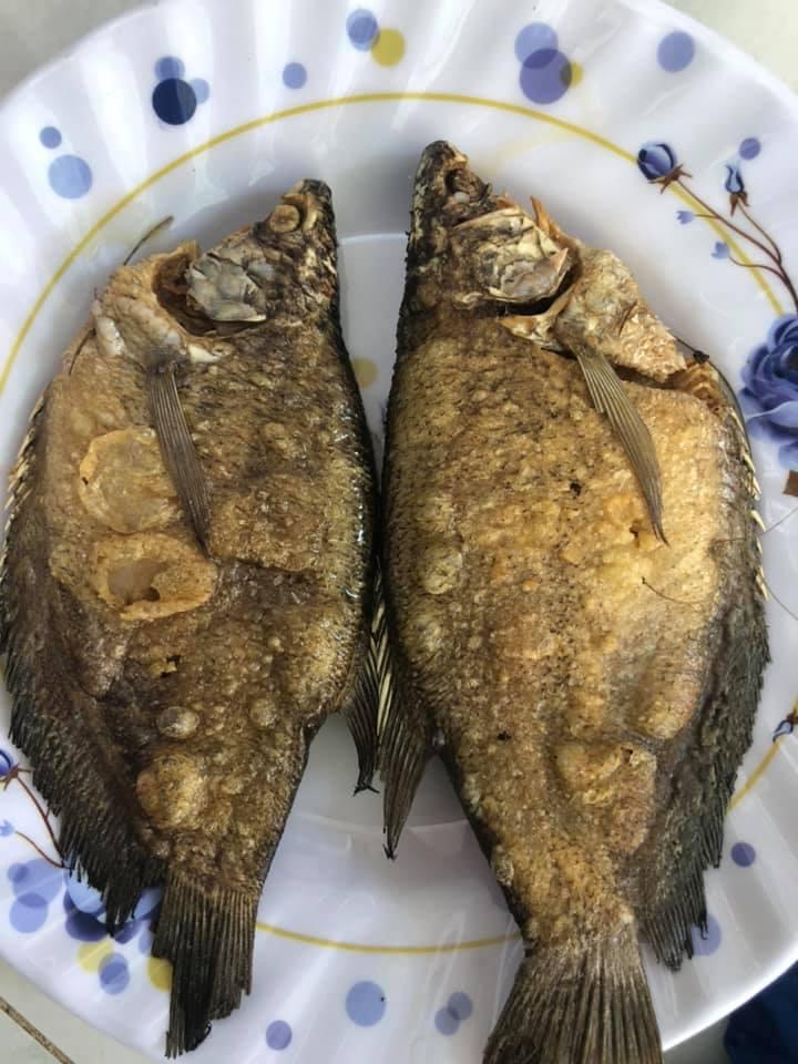 500g khô cá sặc rằn size 10_12 con/kg