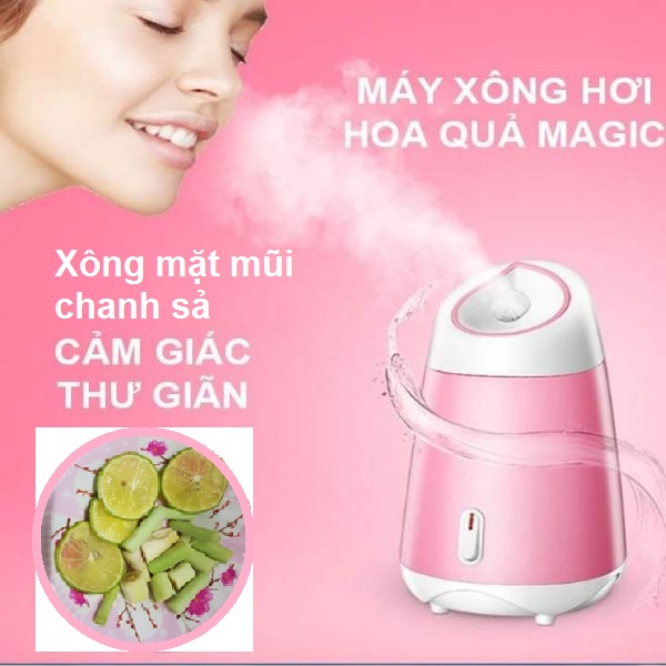 Máy xông hơi mặt, xông mũi bằng hoa quả, thảo dược cầm tay tiện dụng làm sạch da, cấp ẩm điều tiết bã nhờn, máy xông mặt nước nóng