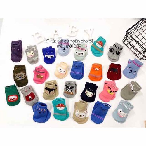 Tất Kid's cotton cho bé trai bé gái