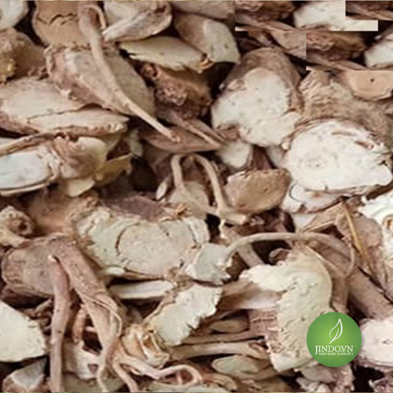 Rễ Đinh Lăng (1Kg khô) -LV49