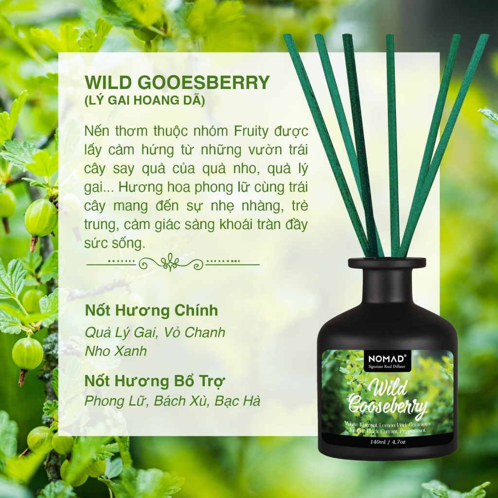 Tinh Dầu Tán Hương Que Mây Nomad Reed Diffuser 140ml