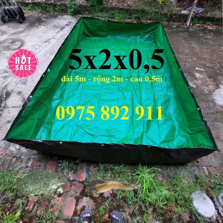 Bể bạt nuôi ốc ếch cá lươn - xanh bộ đội