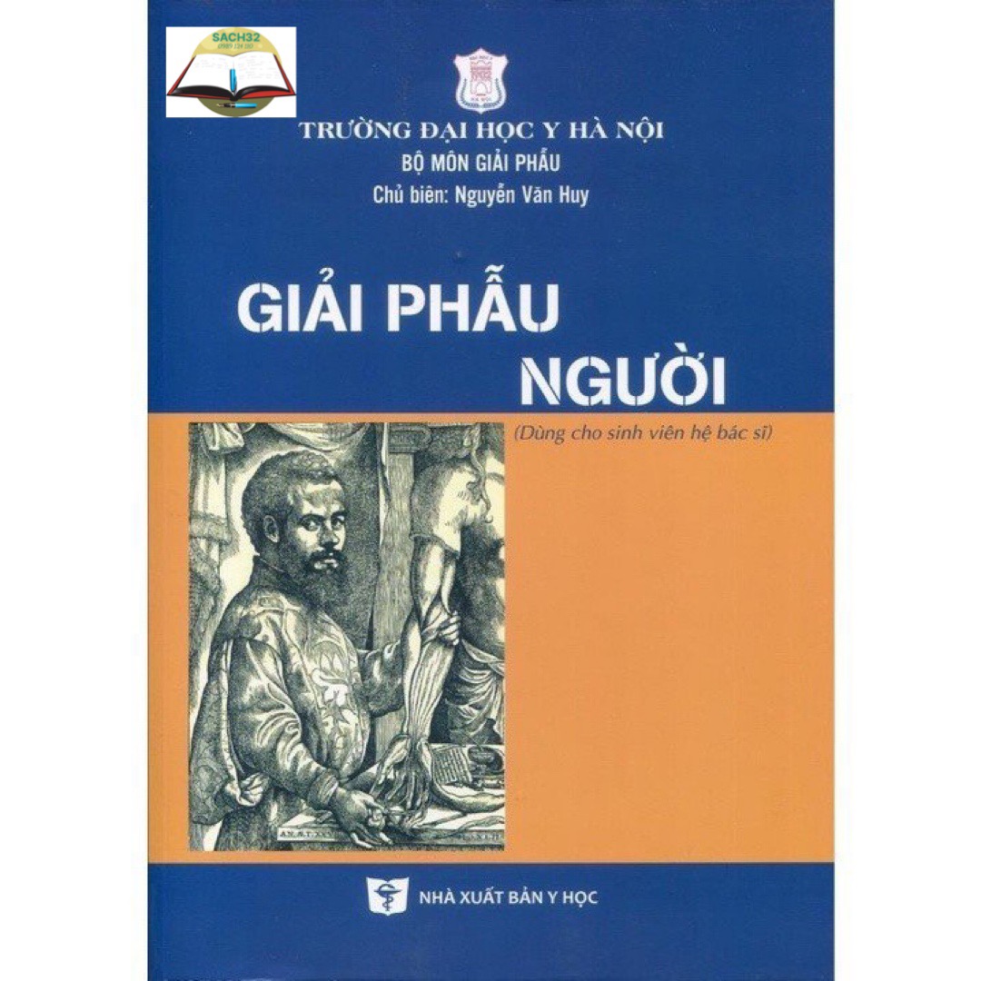 Giải phẫu người