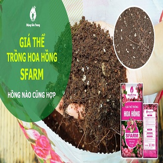 Giá thể trồng hoa hồng - bao 20dm ~7kg - chhg