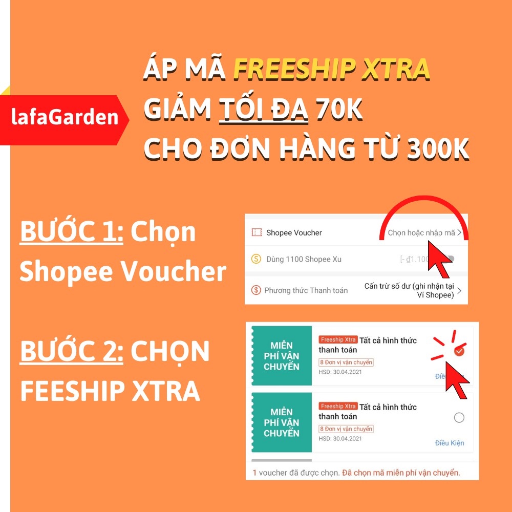 ✵ Cẩm tú cầu - cây cẩm tú đang có nụ hoa có màu xanh hồng xanh lam cây giống nhật chịu nhiệt tốtcây giống dễ trồng
