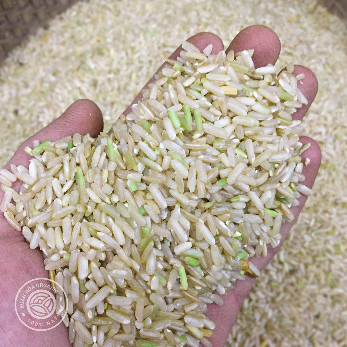 Gạo lứt séng cù gói 2kg