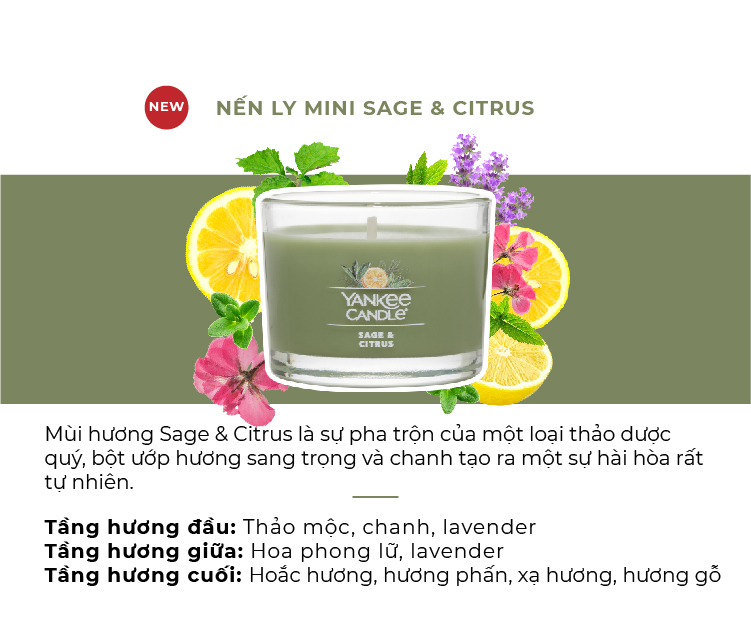 Yankee Candle Mini Cup Candle (37g) - Sage & Citrus