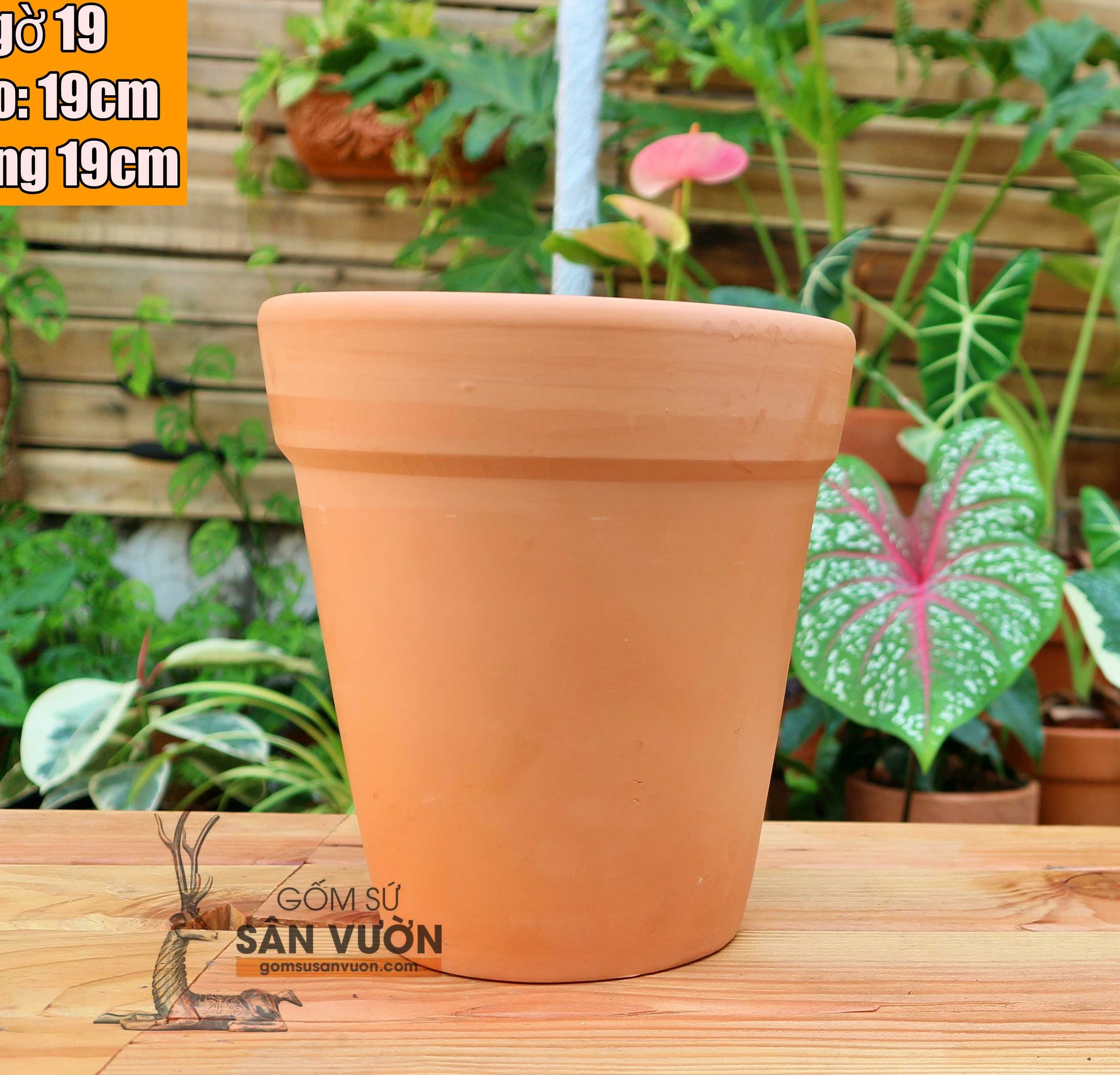 Chậu Gốm Đất Nung Ly Gờ Size 19 cm - Gốm Sứ Sân Vườn
