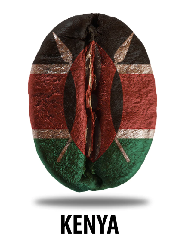 Specialty Coffee, Cà phê rang Kenya Nyeri AA FAQ Washed - G.O Cafe Roastery