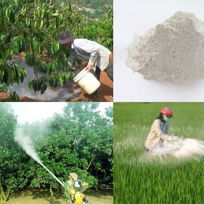 1kg Vôi Bột Xử Lý Đất Trồng