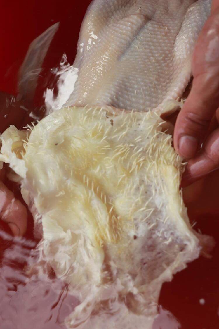 SÁP LÀM LÔNG NGAN-VỊT-GÀ TÚI 2KG