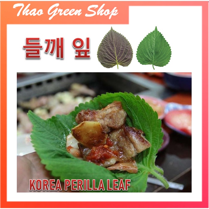 Hạt giống lá mè hàn quốc