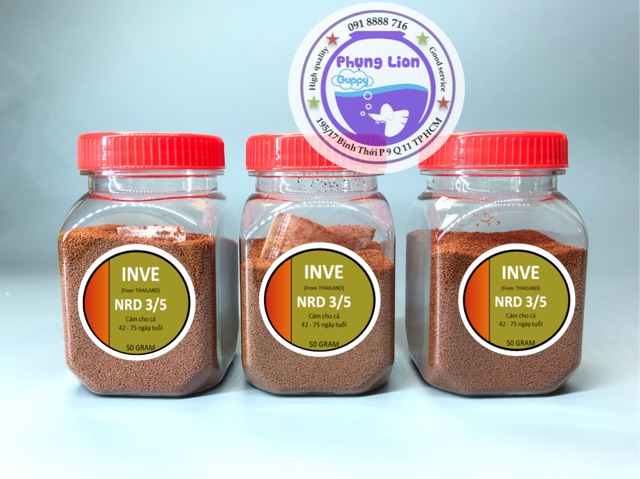 CÁM THÁI INVE 3/5 DÀNH CHO CÁ CẢNH