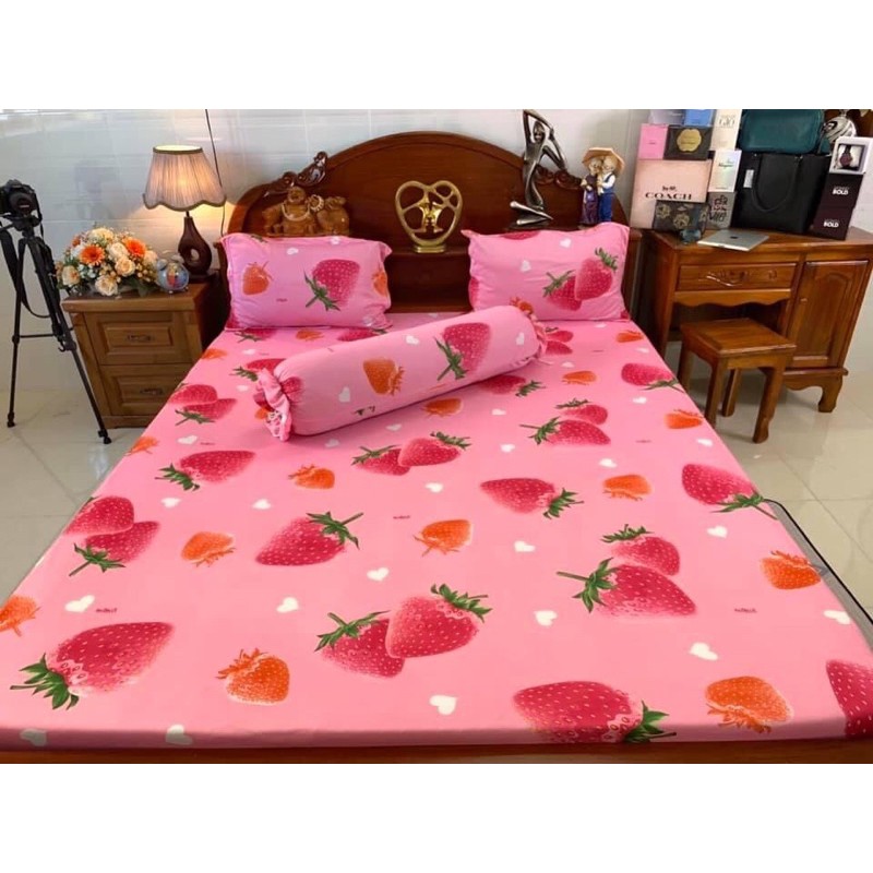 Bộ drap ga thun lạnh Hàn quốc [mẫu dâu tây] 4 món chất đẹp
