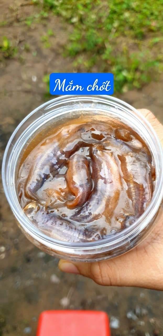 mắm cá chốt, loại 1 đặt biệt thơm ngon, Khô Thoại Sơn
