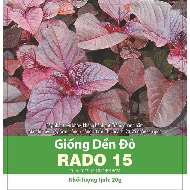 Hạt giống rau rền đỏ, 1 túi ăn cả năm