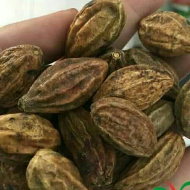 100g quả kha tử ngậm chữa ho