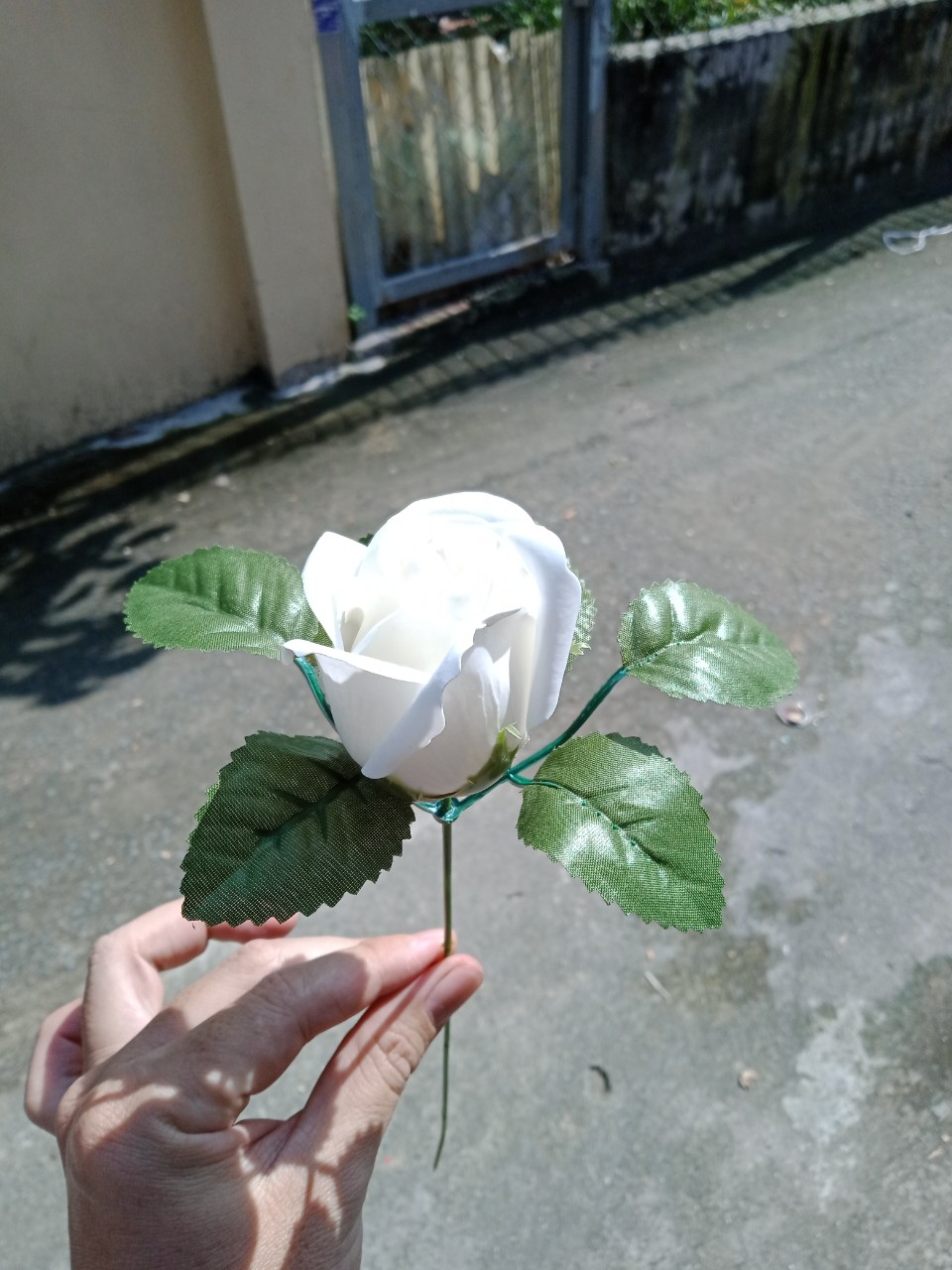 cành hoa hồng sáp ( có cành, có lá )