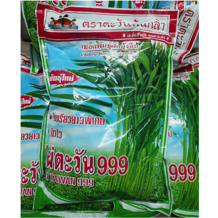 [Hạt giống Thái] Hạt giống rau muống giòn Thái Lan
