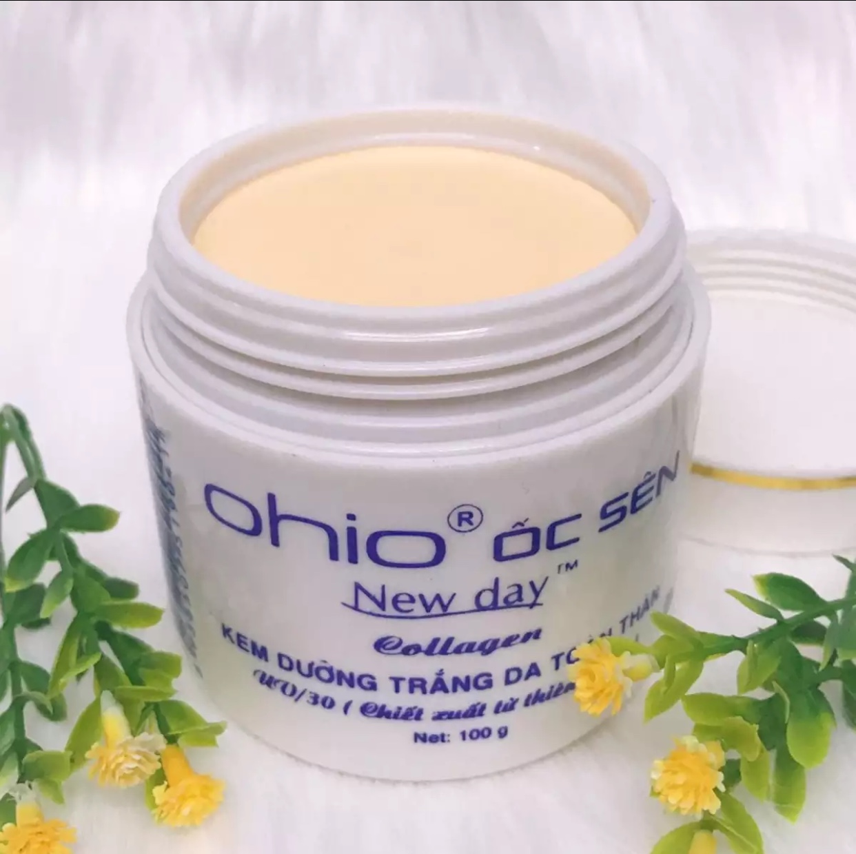 [HCM]Kem dưỡng trắng body OHIO ốc sên 100g