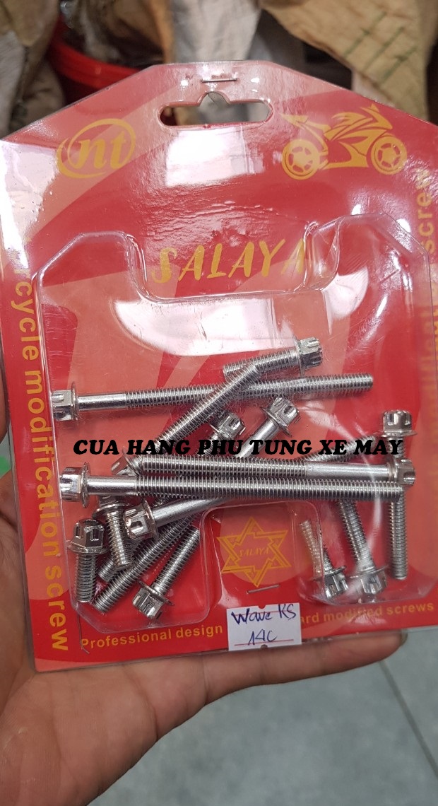 Bộ ốc lốc máy Wave RS/ Wave Alpha 2010 - 2016 hàng SALAYA (14 con)