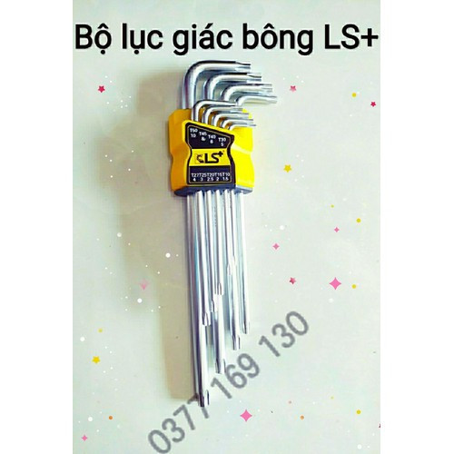 bộ lục giác bông-lục giác hoa thị