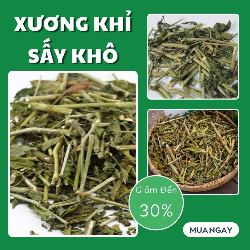 [Túi 1kg giá rẻ] Cây xương khỉ sấy khô 1kg - Thảo Dược Tấn Phát - Chuyên dùng để pha trà và sắc nước uống
