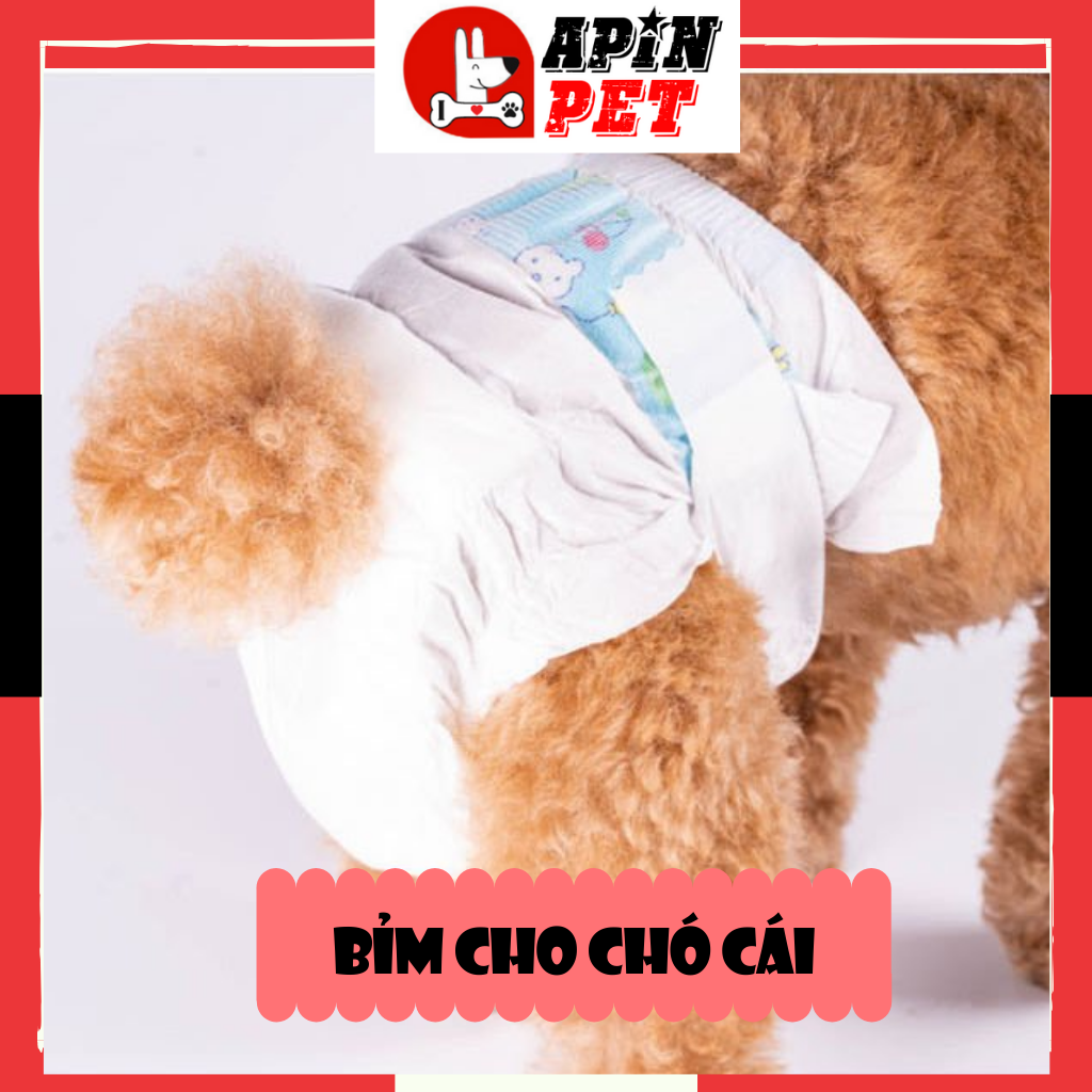 Bỉm cho chó đực cái,thấm hút nhanh,thoáng mát,Size XS,S,M,L,XL