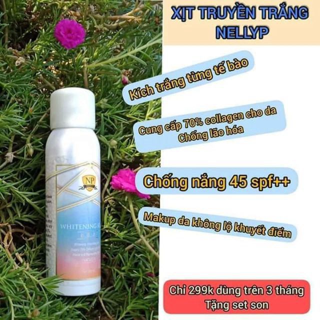 XỊT TRUYỀN TRẮNG NELLYP ( k SON)
