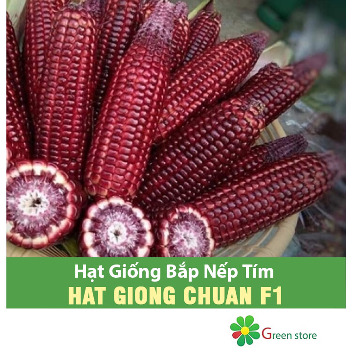 [HCM]Hạt giống Bắp Nếp Tím F1