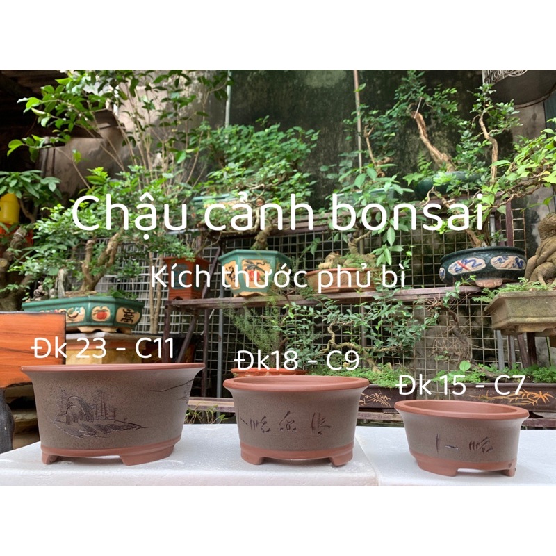 Chậu gốm tàu-chậu cảnh bonsai