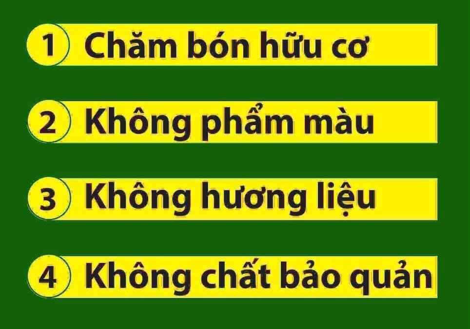 Kẹo Lạc Matcha (Trà Xanh) Túy Trà gói 200g