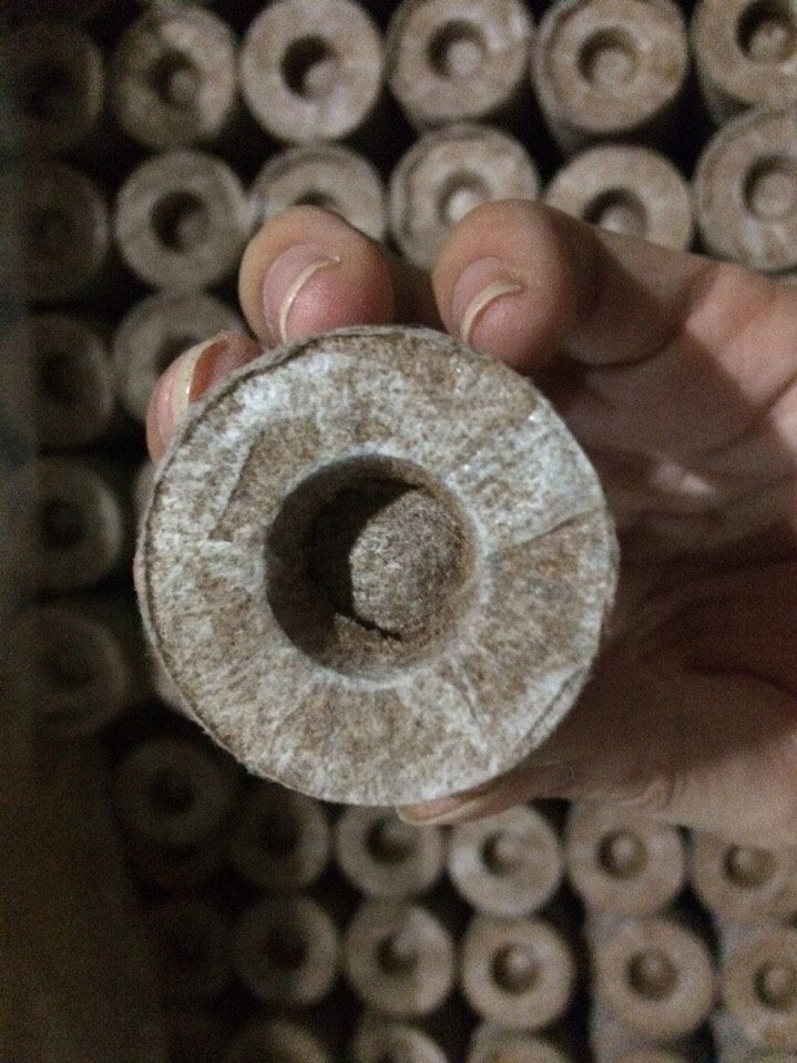 30 viên nén sơ dừa ươm cây trồng rau
