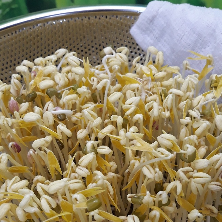 Dụng cụ làm giá bằng inox Phương My