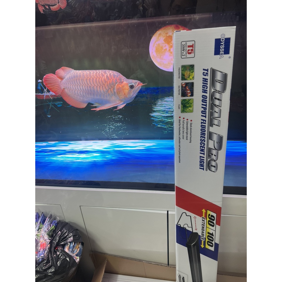 "hoàn tiền đến 10%" đèn odyssea t5ho dual pro | đánh màu cho cá rồng 2 bóng t5ho - ánh sáng 10.000k