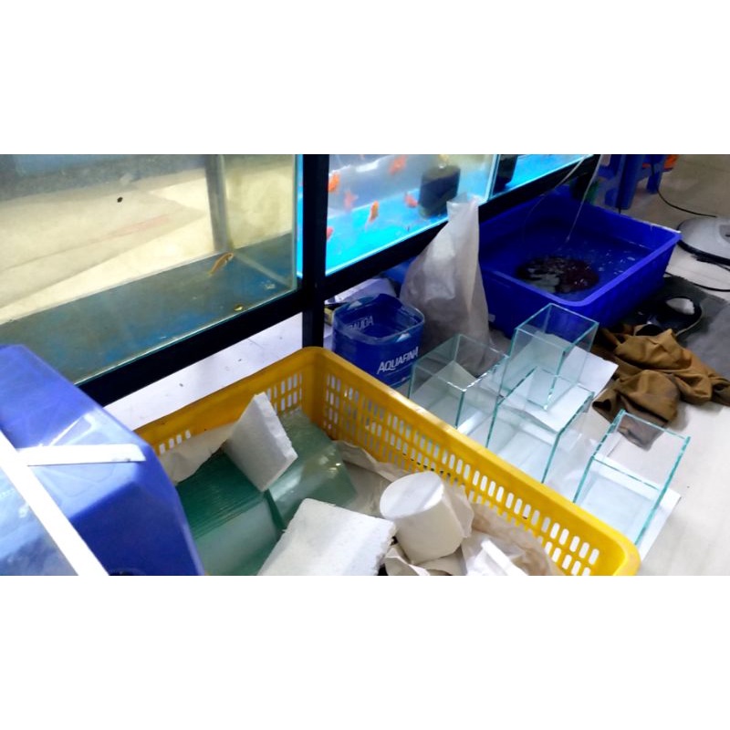 (Hỏa tốc HCM) Bể cá mini Hồ Cá Betta 15x10x15 dán giấu keo siêu đẹp BẢO HÀNH VỠ DO VẬN CHUYỂN