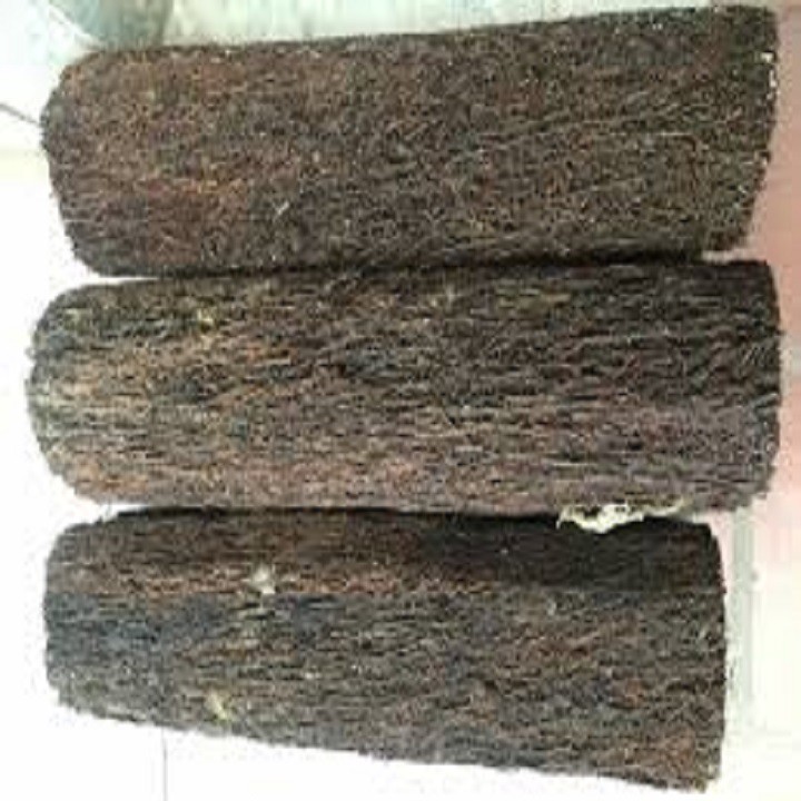 Dớn Trụ Ghép Lan - Giá thể trồng lan