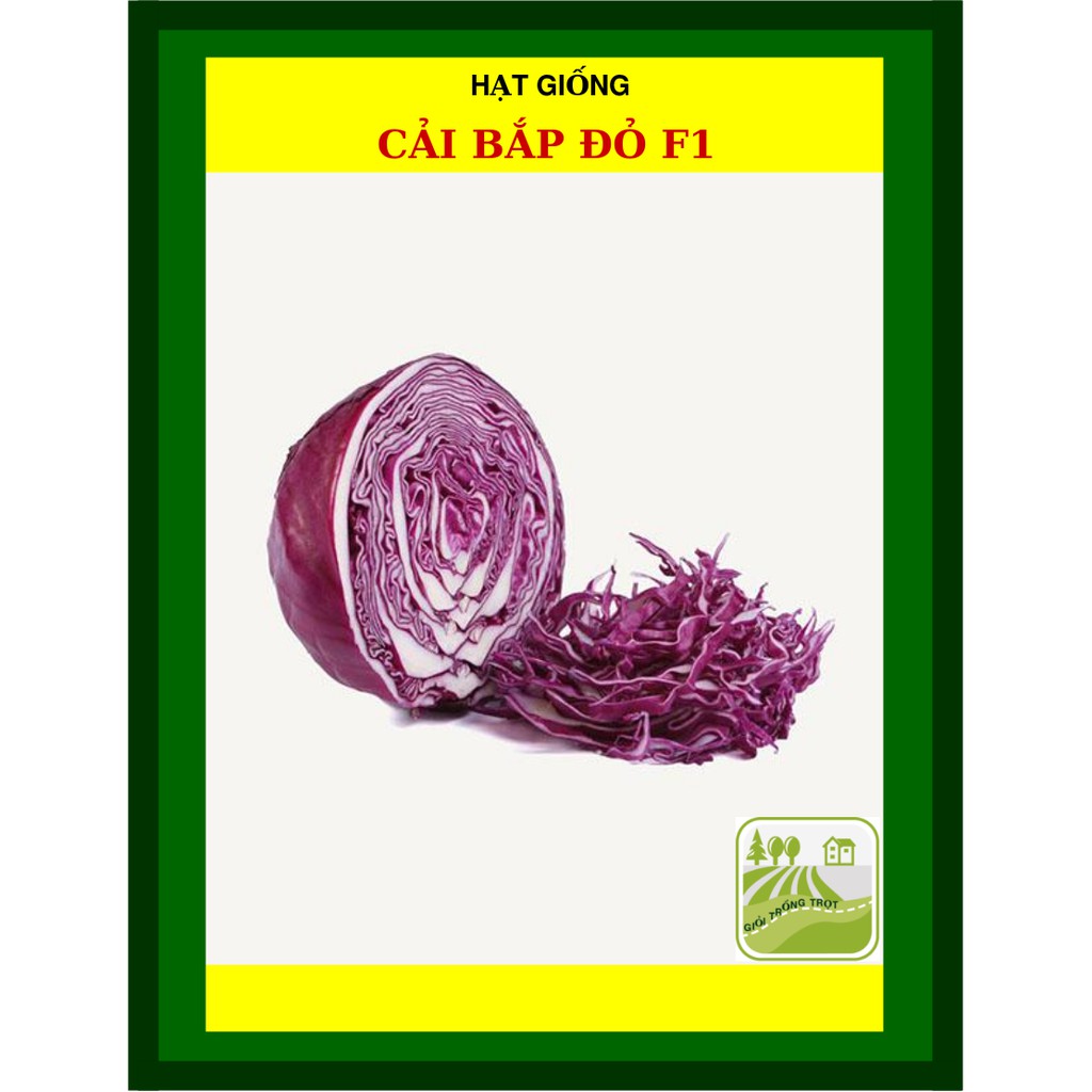 1g - hạt giống cải bắp đỏ