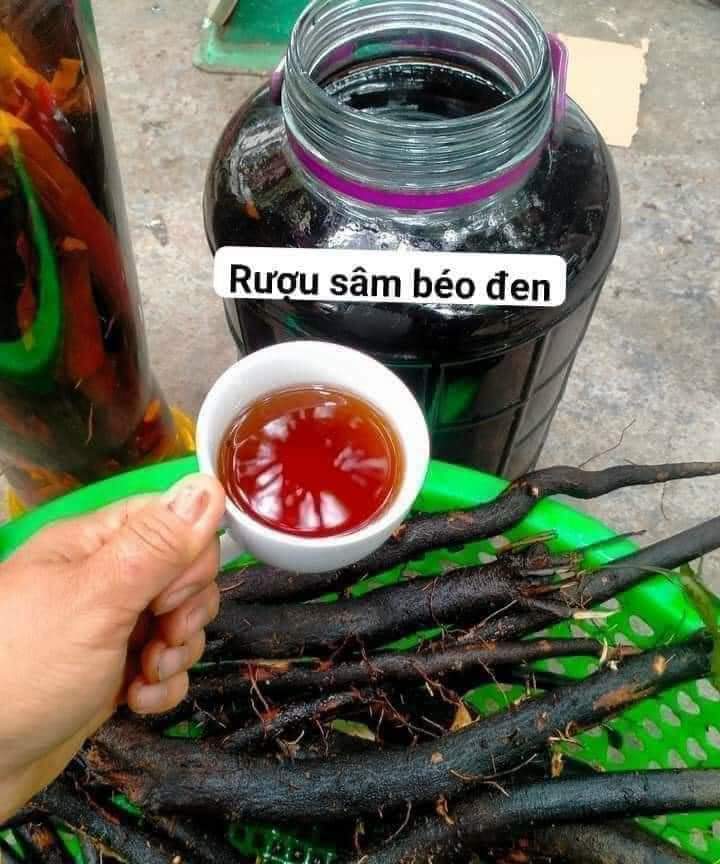 [1Kg] Sâm béo đen (sâm bảo ngọc) hàng rừng tươi