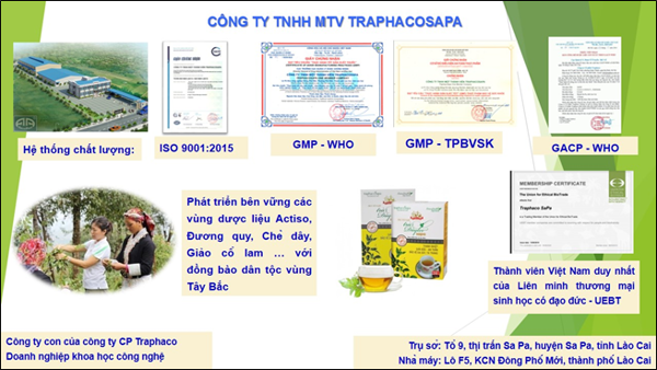 Trà Dây leo Sapa 100G/200G