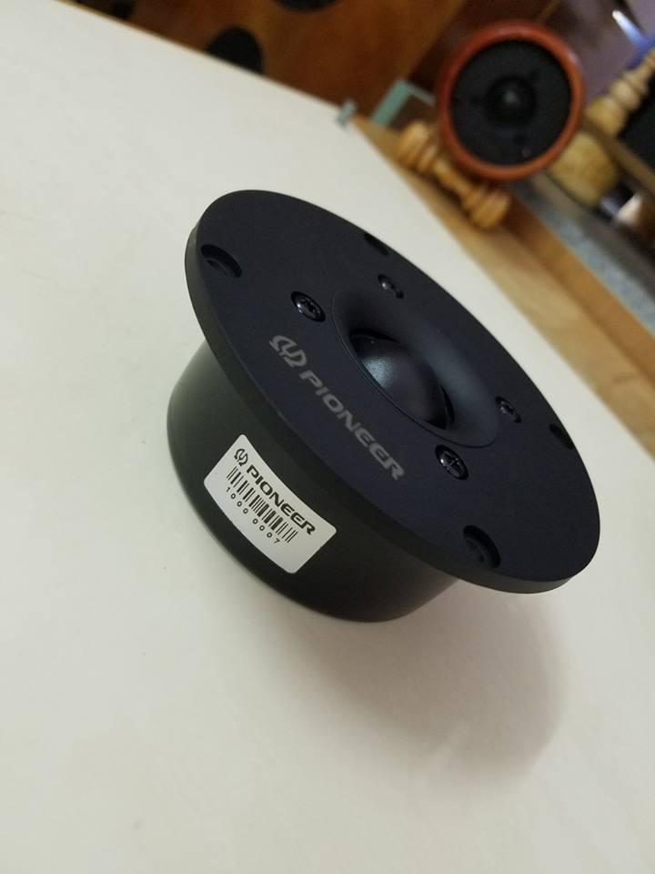 Loa trép Pioneer P03